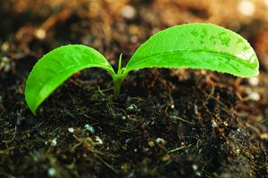 工具避坑指南：新手常犯的10个错误